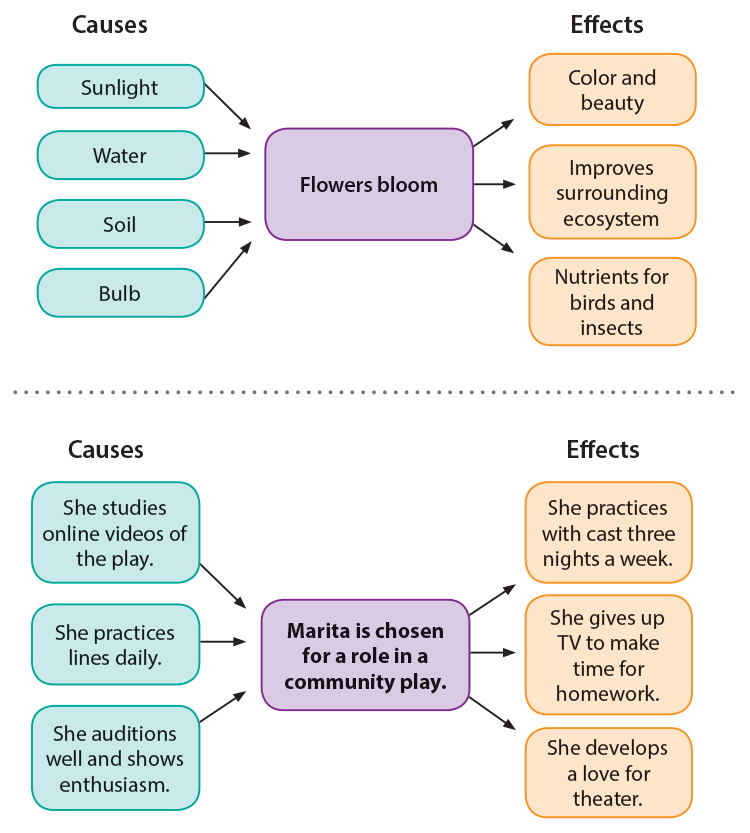 Cause-Effect Diagram