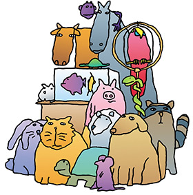 Comparison-Contrast Essays