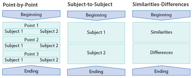 Pattern of Organization